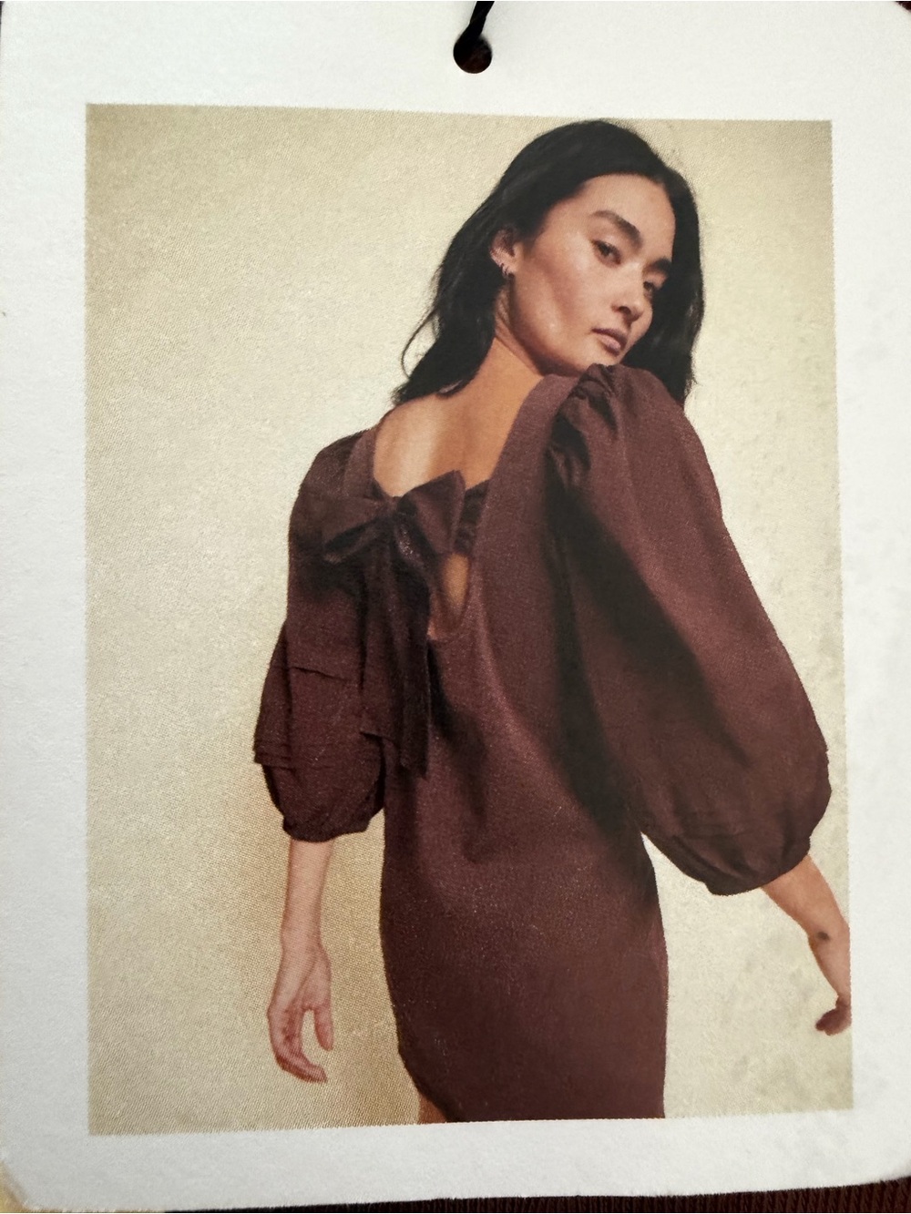 Nation LTD Brown Puff-Sleeve Back-Tie Mini Dress